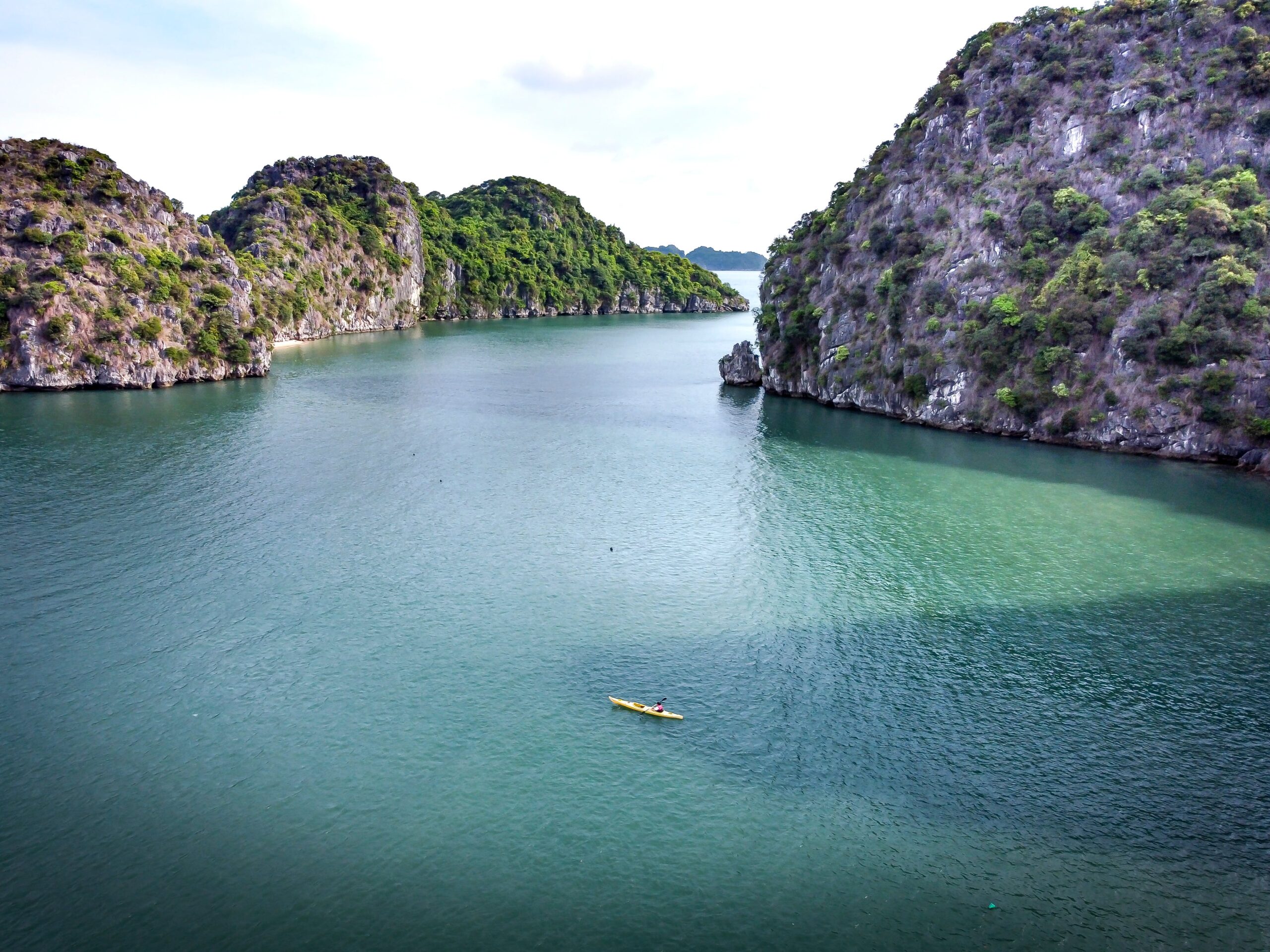 Imaginemos a mente como sendo um lago