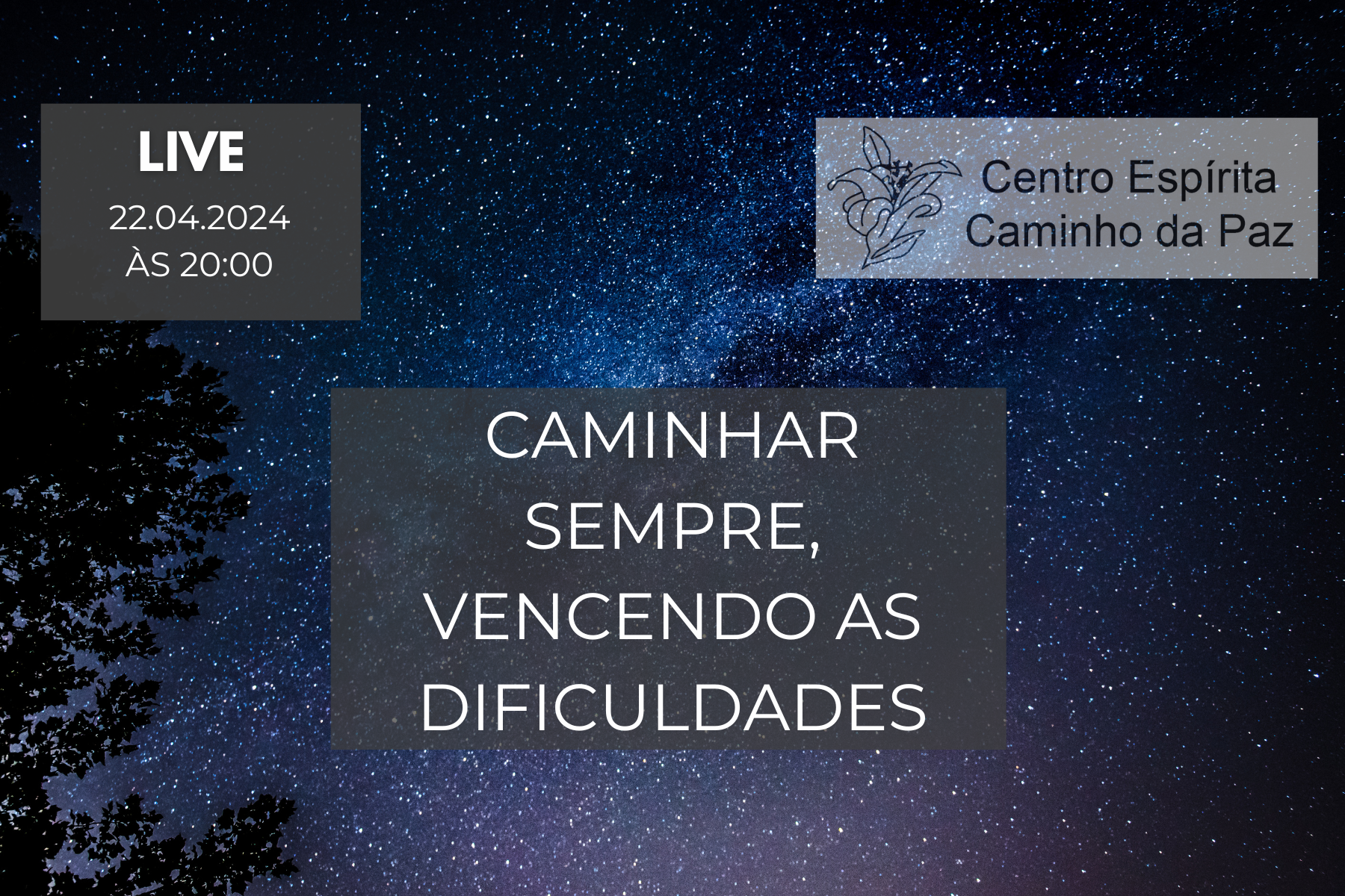 Caminhar sempre, vencendo as dificuldades