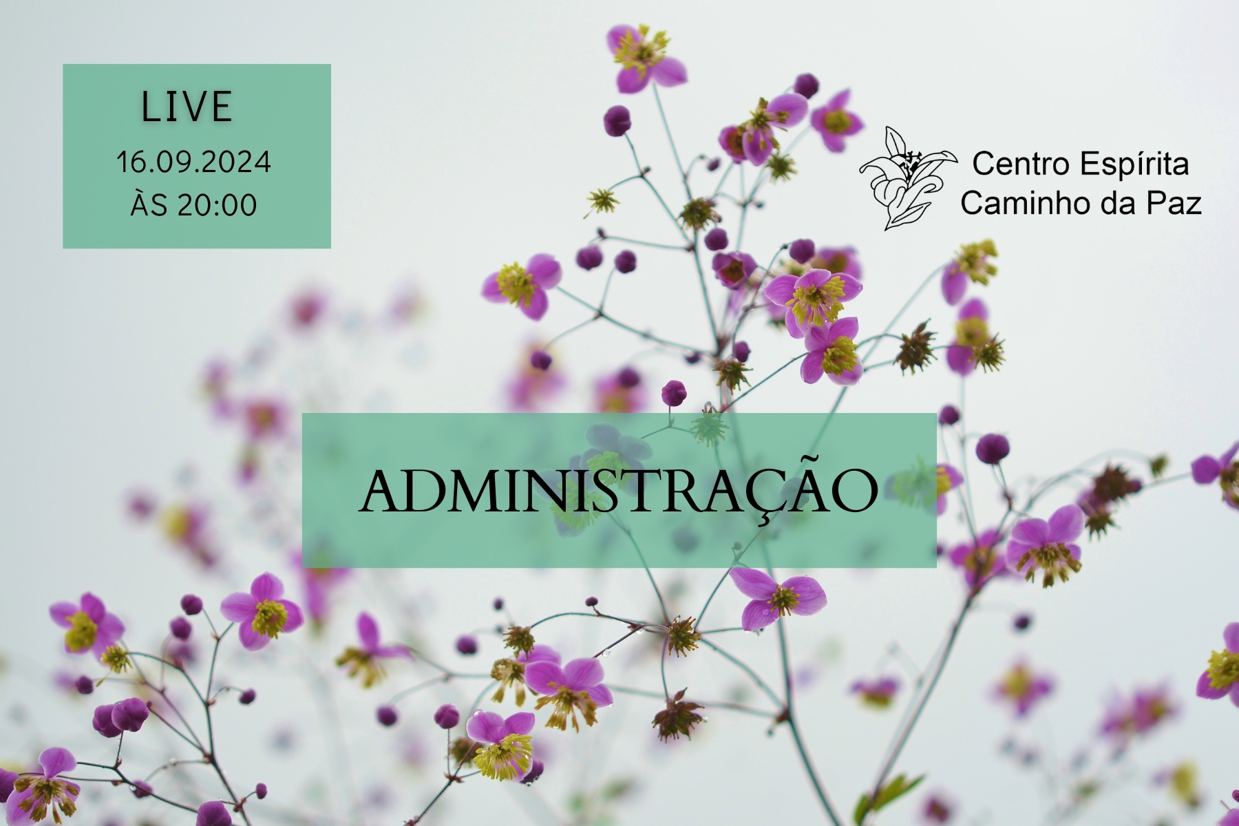 Administração