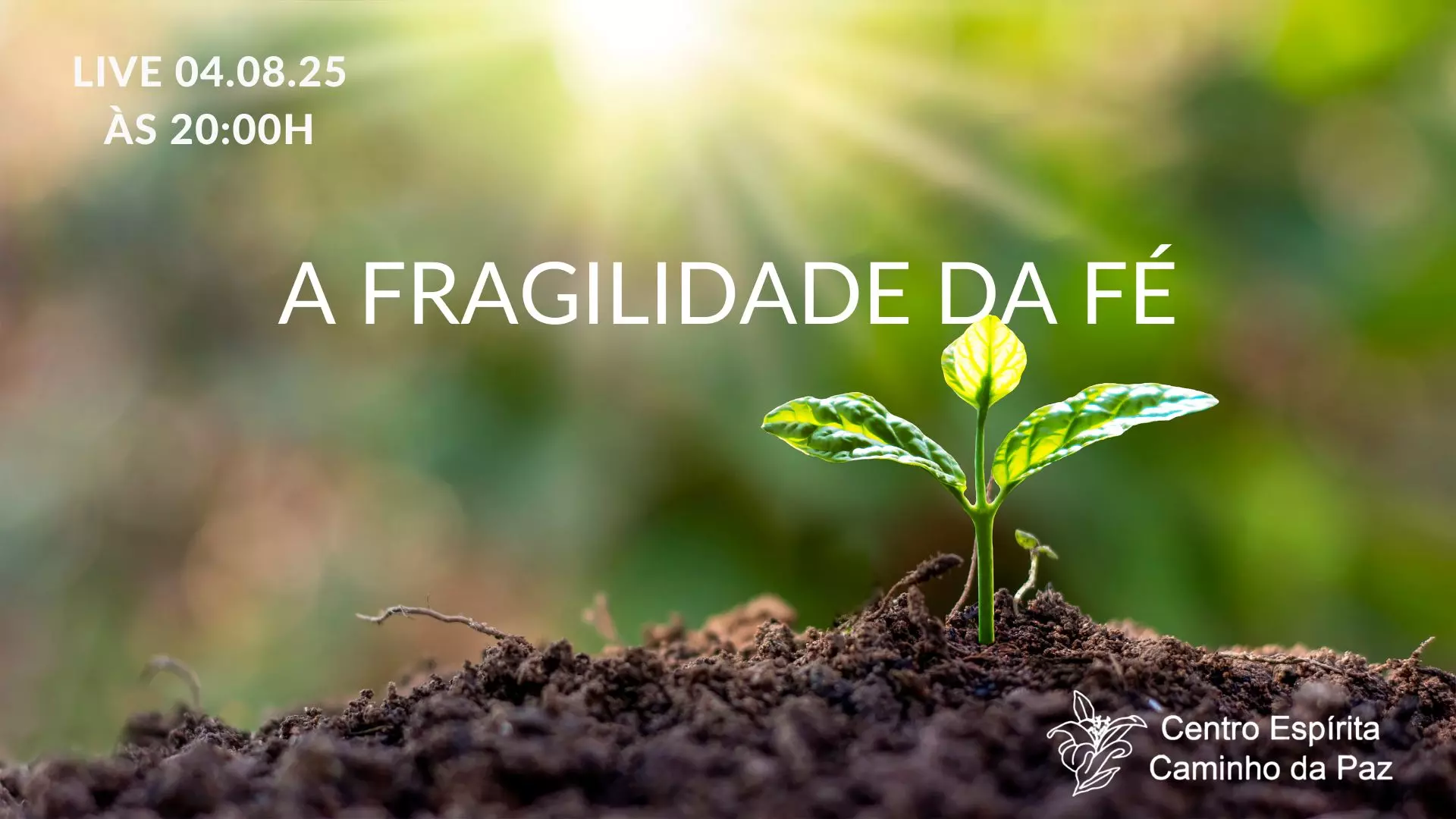 A Fragilidade da Fé