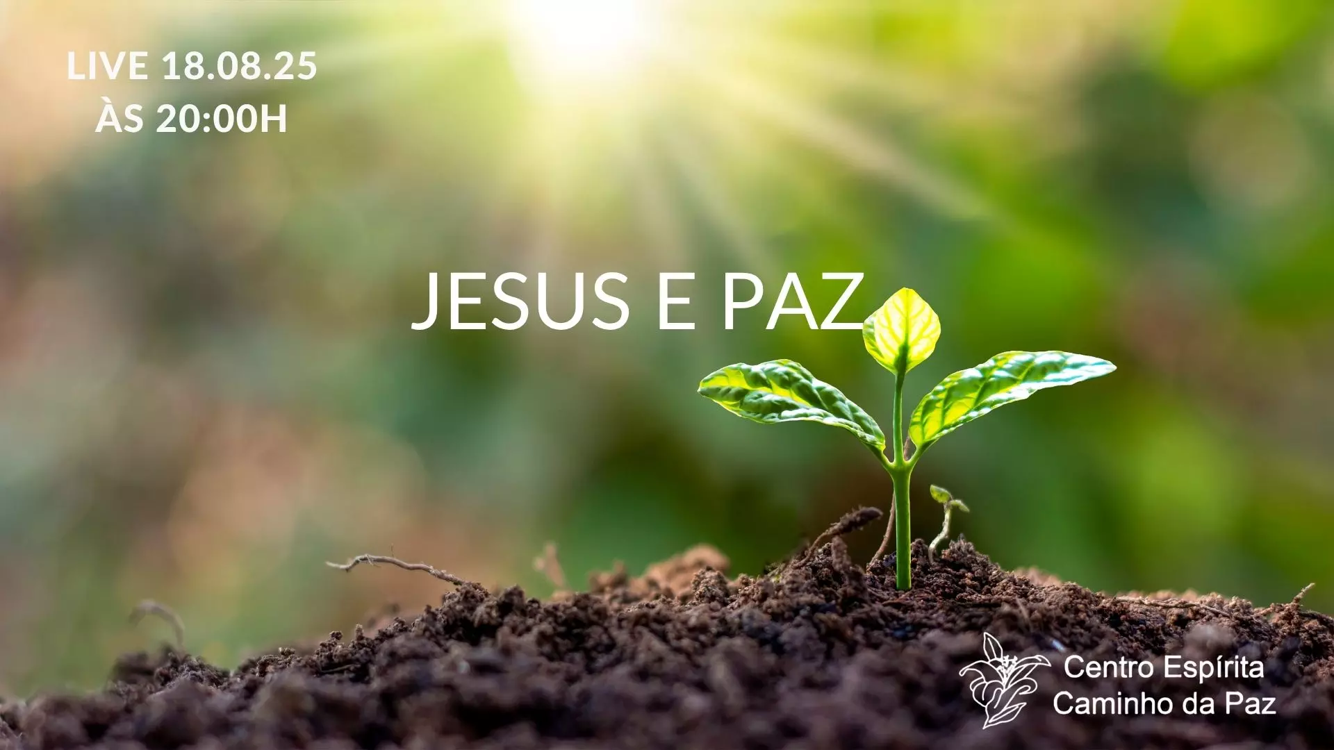 Jesus e a Paz