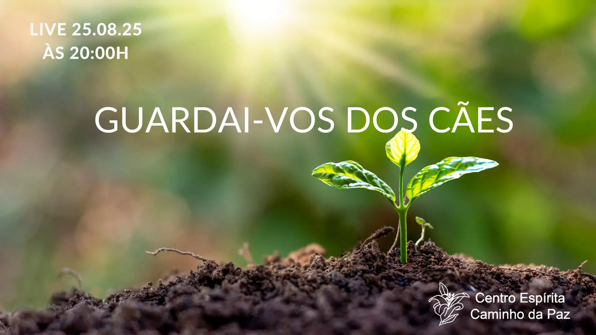 Guardai-vos dos cães