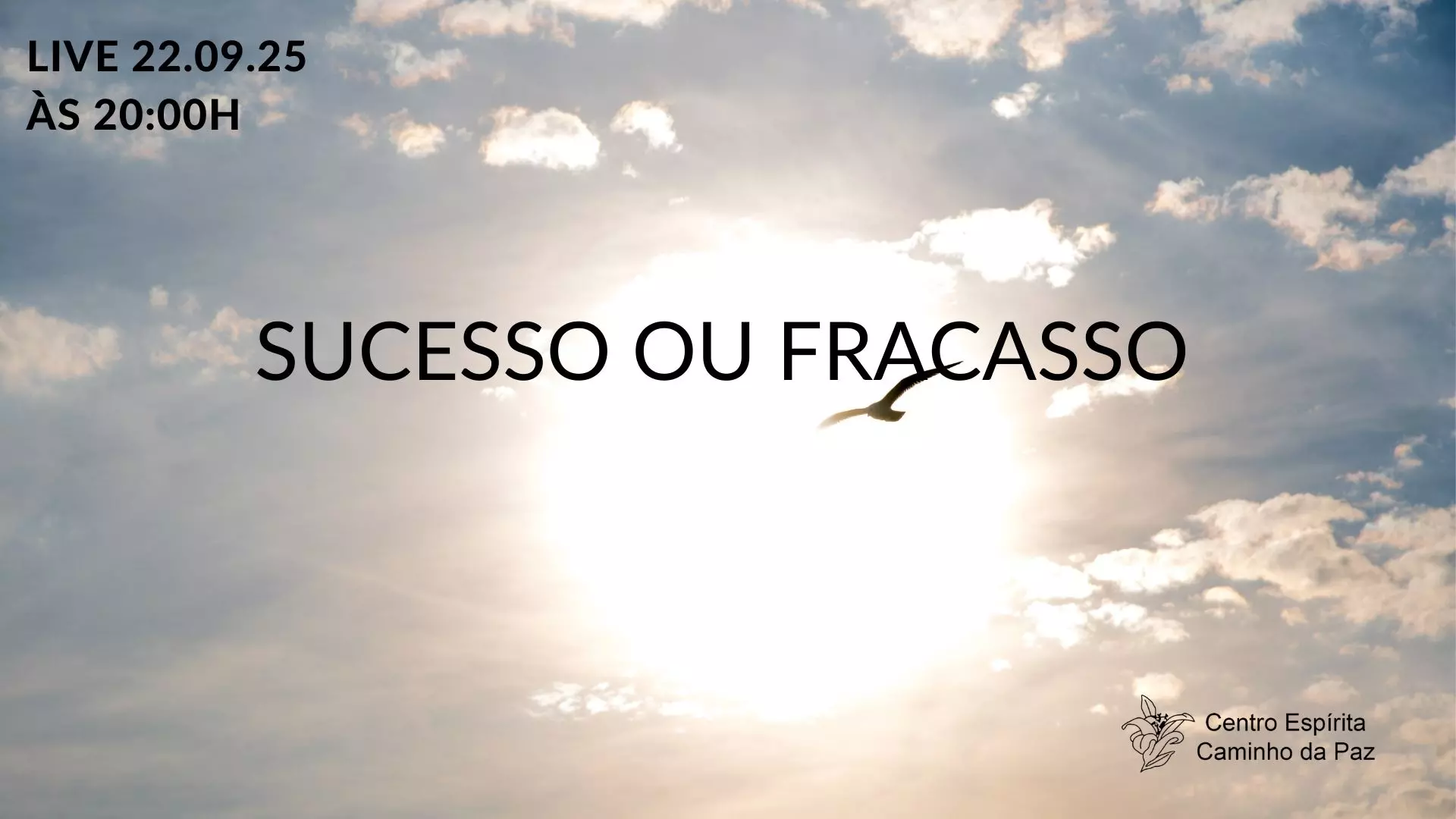 Sucesso ou Fracasso