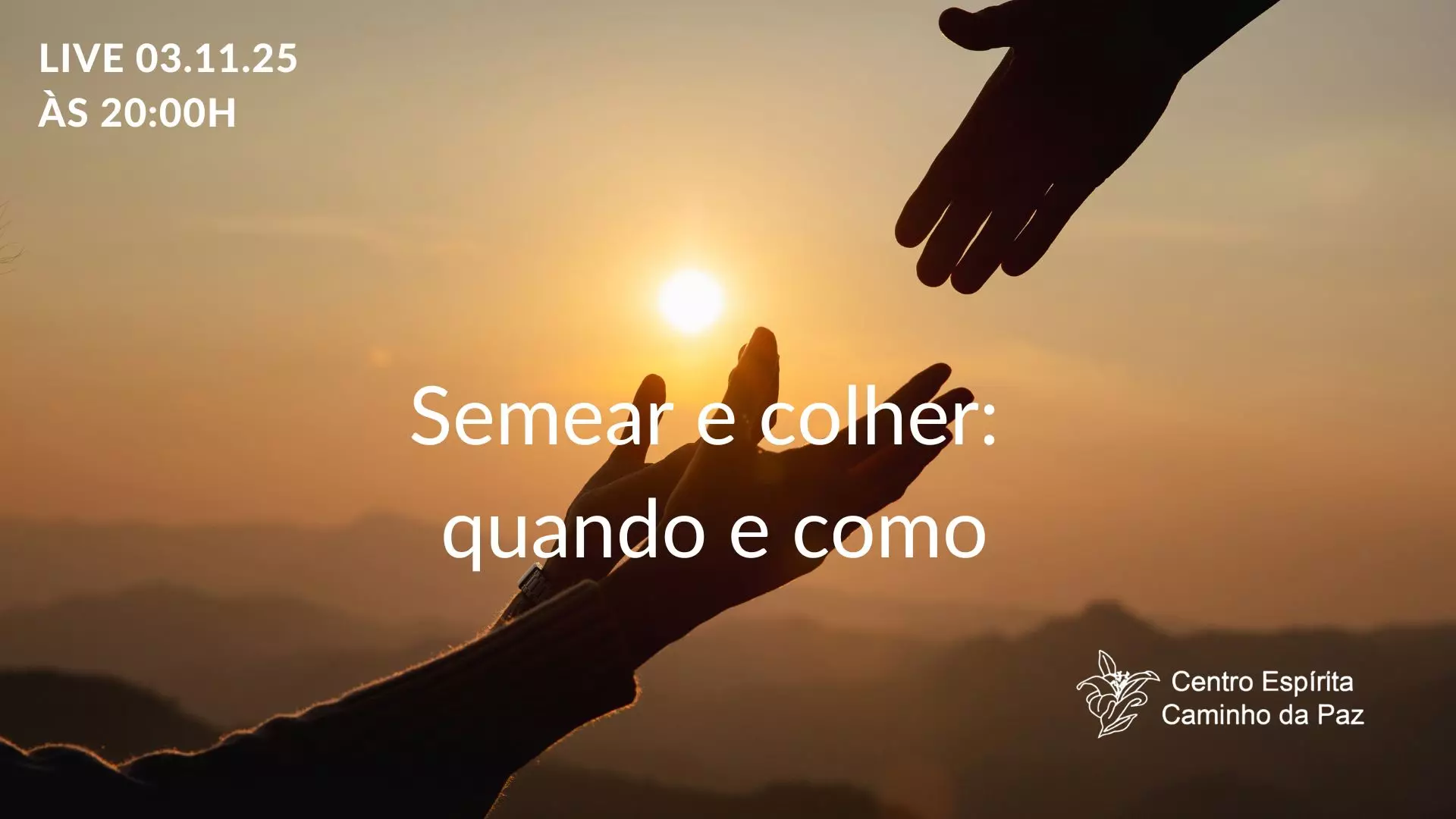 Semear e colher: como e quando