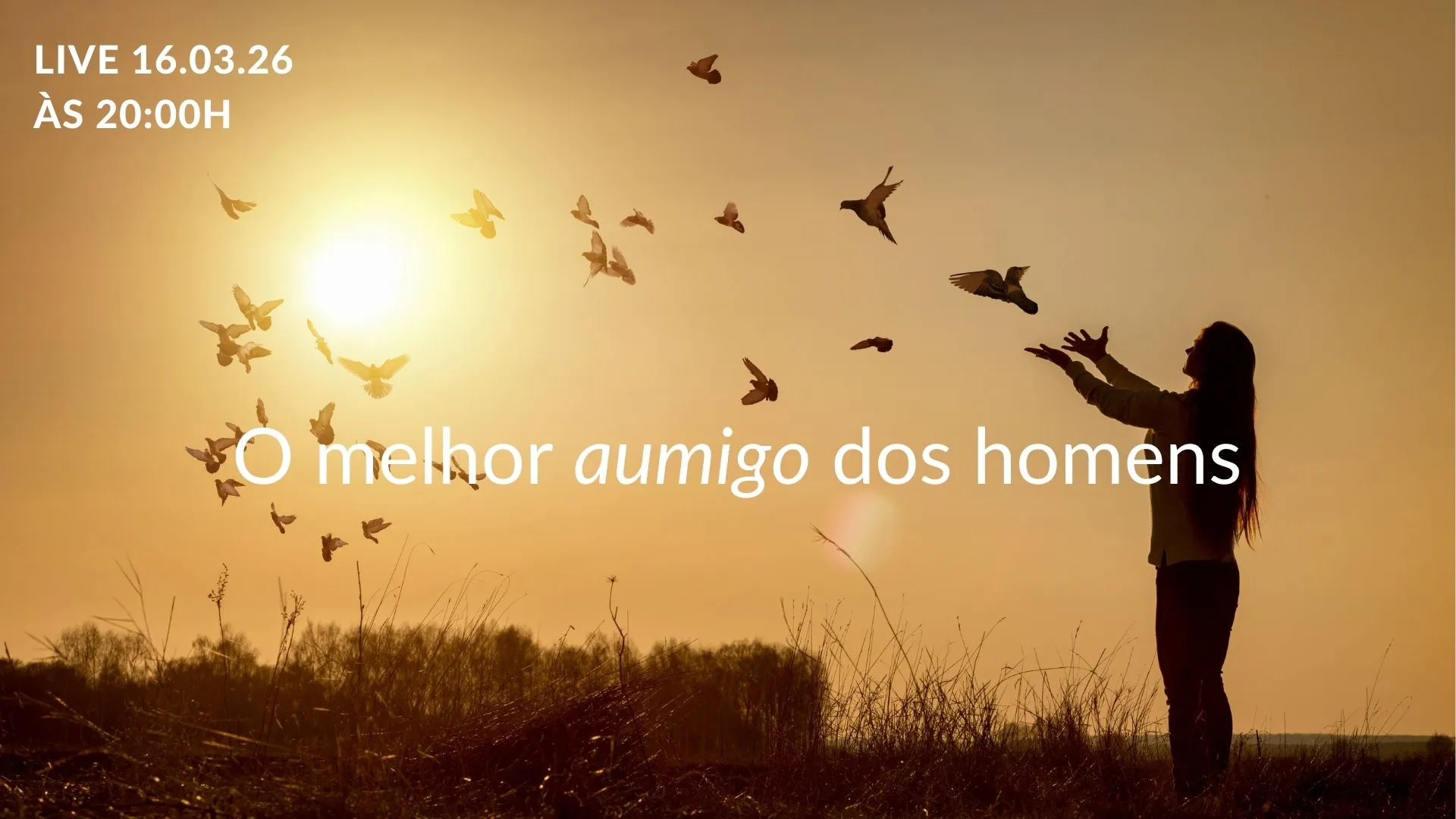 O melhor aumigo dos homens